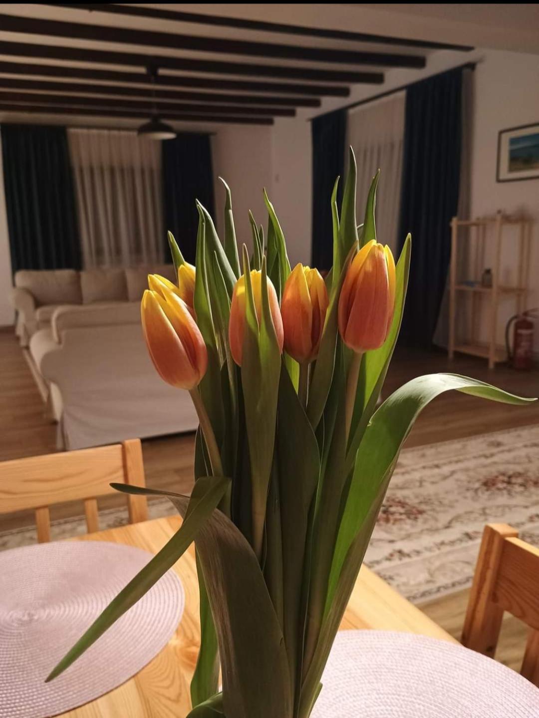 Appartamento Family House Pristol Esterno foto