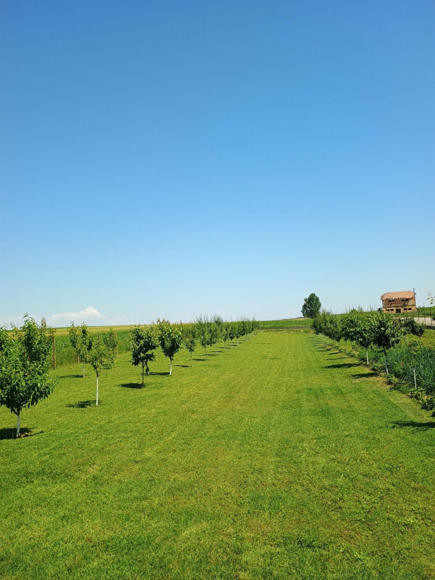 Appartamento Family House Pristol Esterno foto